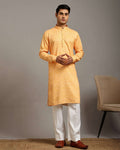 Taj Co-Linen Men's Classic Kurta (Copy)